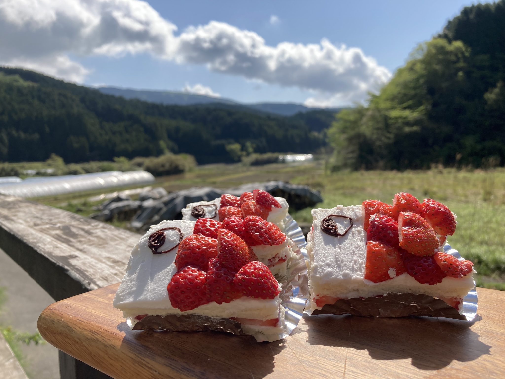 こいのぼりケーキ
