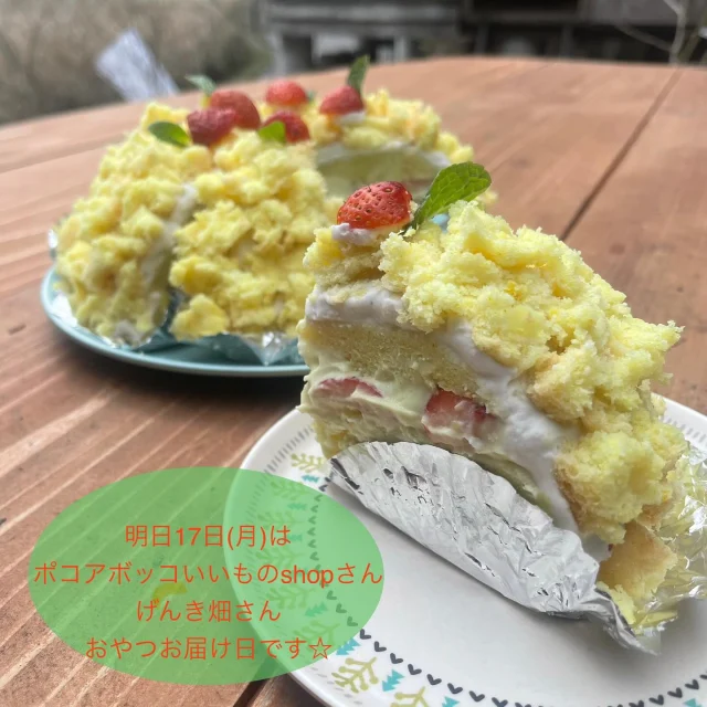 ・
明日17日(月)は、ポコアボッコいいものshop(@pocoabocco_shop )さんとげんき畑さんへおやつをお届けします☆
・
明日はリクエストにお応えして、ミモザケーキをお届けしますよ〜♪
・
米粉スポンジにレモンカスタードと無農薬いちごのをサンドし、ソイココナッツクリーム、黄色のクラムでミモザをイメージして仕上げた3月限定のケーキです♪
・
数量限定となりますので、ご予約をオススメします^_^
・
☆3月17日メニュー☆
🏵️ミモザケーキ
🍌チャイバナナマフィン
🍓無農薬いちごのスコーン
☕️クランベリー&紅茶のスコーン
🍪クッキー各種
・
thank youクッキーもお届けしますので、卒業、卒園、ちょっとしたお礼にどうぞ♡
・
全てご予約分優先。
特にケーキやマフィンは店頭分はあまりたくさんお届けできないことが多いのでご予約いただいたほうが確実です。
そしてケーキやマフィンは基本的にポコアボッコいいものshopさんへのみのお届けとなりますので、げんき畑さんでお受け取りご希望の方は必ずご予約をお願いします。
・
ご予約はのがりのインスタかFacebookメッセージ、もしくはtomo@nogari.cafeまでDMして下さい。
・
ポコアボッコいいものshopさんには12時半頃、げんき畑さんへは13時半頃のお届け予定となりますので、よろしくお願いします☆
・
#のがり　#佐賀　#脊振
#米粉　#米粉おやつ　#小麦卵乳製品不使用
#アレルギー対応　#グルテンフリー　#オーガニック
#ポコアボッコいいものshop #げんき畑　#佐賀市