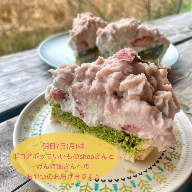 ・
明日7日(月)はポコアボッコいいものshop(@pocoabocco_shop )さんとげんき畑さんへおやつをお届けします☆
・
明日はたくさんのリクエストをいただいたので、桜と抹茶のタルトをお届けしますよ♪
ザクザク抹茶タルトに無農薬いちご&ココナッツクリーム、そして自家製桜あんクリームをたっぷり絞った桜の季節限定のタルトです♪
・
そして明日は桜のスコーンもお届けしますよ♪
こちらも桜あんを層にして焼き上げた桜感満載なスコーンです♪
・
そしてそしてマフィンは去年も大人気だったよもぎあんマフィン♪
のがりのお山で摘んだよもぎの新芽をペーストにして混ぜ込み、自家製デーツあんと一緒に焼き上げた今だけ限定のマフィンです♪
・
明日は春満開なラインナップとなりました♪
それぞれ数に限りがございますので、ご予約をオススメします♡→ありがたいことにたくさんご予約をいただいており、残り少なくなっております🙇‍♀️
・
☆4月7日メニュー☆
🌸桜と抹茶のタルト→あと1カット
🍀よもぎあんマフィン→あと2個
🌸桜スコーン→あと2個
🍌チョコバナナスコーン
🍪クッキー各種
・
入園、入学のお祝いやちょっとしたお礼にもぴったりなthank youクッキーやおめでとうクッキーもお届けします♪
・
全てご予約分優先☆
ケーキはマフィンは基本的にポコアボッコいいものshopさんへのみのお届けとなりますので、げんき畑さんでお受け取りご希望の方はご予約をお願いします。
・
ご予約はのがりのインスタかFacebookメッセージ、もしくはtomo@nogari.cafeまでDMして下さい。
・
ポコアボッコいいものshopさんには12時半頃、げんき畑さんへは13時半頃のお届け予定となりますので、よろしくお願いします☆
・
#のがり　#佐賀　#脊振
#米粉　#米粉おやつ　#小麦卵乳製品不使用
#アレルギー対応　#グルテンフリー　#オーガニック
#ポコアボッコいいものshop #げんき畑　#佐賀市