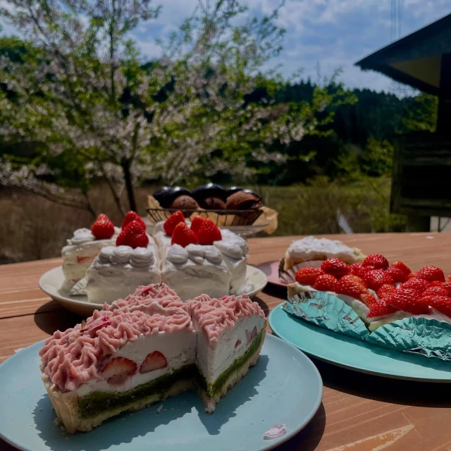 ・
本日のがり日和☆
・
ポカポカと春らしい陽気になりましたね♪
・
のがりの桜はまだ少し残っているので、今週まで桜と抹茶のタルトをお出しすることにしました♪
・
時々舞い散る桜が綺麗でのんびりお茶するだけで癒されますよ♪
・
その他無農薬いちごを使ったショートケーキにタルト、生チョコバナナタルト、のがりちゃんケーキなどなど、色々ご準備しております♪
・
気持ちのいい青空と野花が広がる春のお山にぜひ遊びにいらして下さいね╰(*´︶`*)╯♡
・
#のがり　#佐賀　#脊振
#米粉　#米粉おやつ　#小麦卵乳製品不使用　
#アレルギー対応おやつ　#グルテンフリー　#オーガニック
#佐賀カフェ　#神埼カフェ
#青空カフェ　#ハンモックカフェ　#山カフェ