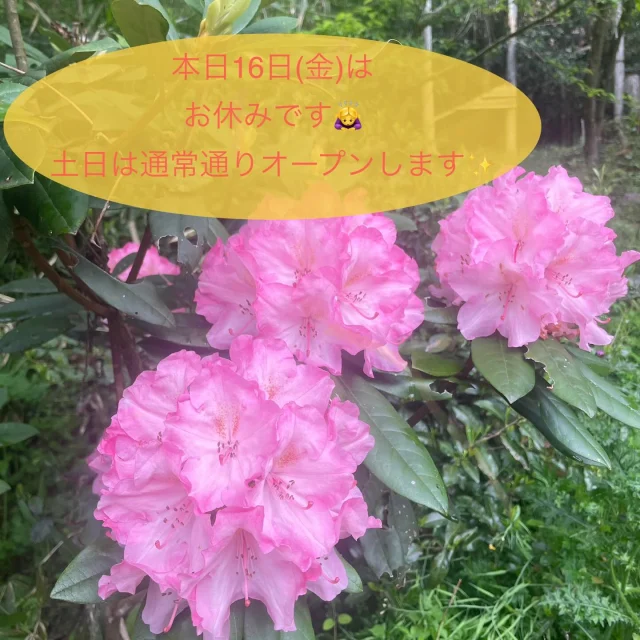 ・
本日16日(金)はお休みですのでお気をつけ下さい🙇‍♀️
・
土日は通常通りオープンしますのでよろしくお願いします✨
・
#のがり　#佐賀　#脊振
#米粉　#米粉おやつ　#小麦卵乳製品不使用
#アレルギー対応　#グルテンフリー　#オーガニック