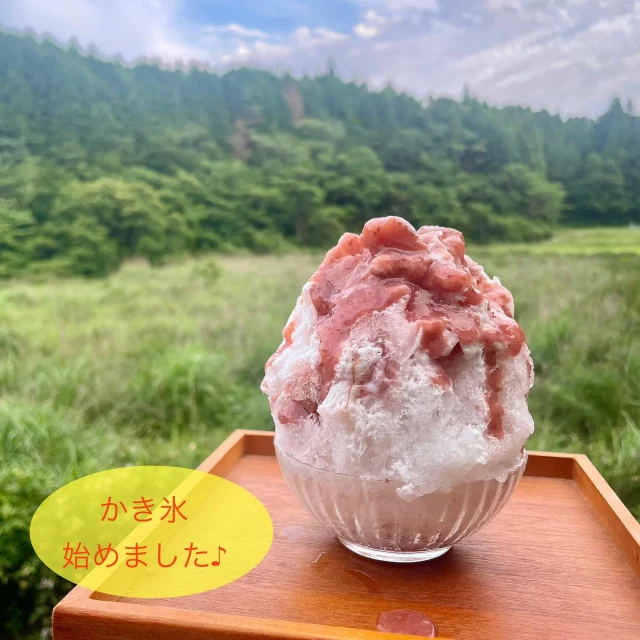 ・
本日のがり日和☆
・
梅雨の中休みなのか？まさかの梅雨明けなのか？今週は晴れの日が続きますね♪
・
そして気温も急上昇⤴️
すでに夏のような暑さにこれから夏本番はどうなるのか心配になります💦
・
これだけ暑いので、今年は少し早めにかき氷スタートします♪
・
毎年かき氷の大きさやシロップの組み合わせなど、ギリギリまで悩むのですが、
最近主流の大きめのかき氷は個人的に一人では食べきれないことが多いし、体も冷え冷えになる💦
・
なので今年は去年よりも小さめにして、一人でも最後まで美味しく召し上がっていただけるように考えました♪
・
のがりのかき氷は進化系かき氷とは違ってシンプルなかき氷ですが、シロップに使う果物などはできる限り無農薬・有機のもの、甘みも砂糖の代わりに有機アガベシロップやはちみつなどを使い、甘さも控えめなので、身体にも優しいかき氷です♪
・
もちろんすべて小麦、卵、乳製品不使用☆
練乳なども乳製品フリーで手作りしてます。
・
今週のかき氷は
🍧無農薬いちご
🍋はちみつレモン
🍵宇治抹茶みるく
🫐せふりベリーヨーグルト
🍓いちごみるく
の5種類。
・
それぞれその日のシロップが無くなり次第終了となります。
・
基本的に一人で作業しているため、注文の内容によって順番が前後したり、お待たせしたりすることもあるかと思いますが、暖かく見守っていただけましたらありがたいです。
・
もちろんかき氷以外にも、ケーキ類、スコーン、クッキーなどもご準備してます。
・
今週のケーキは、無農薬びわのショートケーキ、お山のベリータルト、かぼちゃのプリンケーキ、生チョコバナナタルトの4種類です。
・
のがりは標高600mのところにあるので、気温は平地よりも5℃くらいは低く、時折吹く風がとっても心地いいです。
・
ぜひ涼を求めて、ドライブがてら遊びにいらして下さいね♪
・
#米粉　#米粉おやつ　#小麦卵乳製品不使用
#アレルギー対応　#グルテンフリー　#オーガニック
#佐賀カフェ　#神埼カフェ　#山カフェ
#佐賀かき氷　#無添加シロップのかき氷