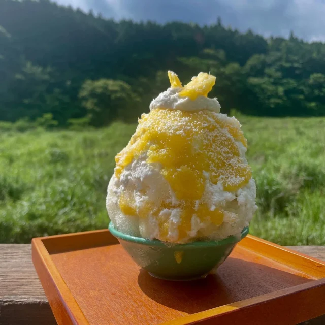 ・
本日のがり日和☆
・
梅雨明けしましたね〜！
6月に梅雨明け…天気がいいのは嬉しいけど、水不足とか農家さんのことが心配になりますね😢
・
梅雨明けということは本格的な夏がやってくる！
今年も酷暑になるとか言ってますし、今から恐ろしいですが、そんな時こそのがりへ涼みにいらして下さいませ〜♪
・
平地より5℃〜くらい涼しいので、みなさんびっくりされます^_^
・
先週から無添加シロップの天然かき氷も始まってます♪
・
今週は新しくパイナップルココミルクも新登場♪
減農薬パイナップルたっぷりのシロップにココナッツミルク&プリン、パイナップルの果肉も入った、トロピカルなかき氷です♪
・
パイナップルが手に入る期間限定になりますので、気になる方はお早めに♪
・
🍧今週のかき氷🍧
☆無農薬いちご
☆いちごみるく
☆はちみつレモン
☆宇治抹茶みるく
☆せふりベリーヨーグルト
☆パイナップルココミルク
・
小学生以下のお子様にはキッズサイズもご用意してます♪
・
もちろんケーキやスコーン、クッキーなどもあります♪
・
今週のケーキは
無農薬びわの紅茶ショートケーキ(土日のみ)
お山のベリータルト
プリンケーキ
生チョコバナナタルト
・
びわが残り僅かなので、びわのショートケーキは土日のみの販売となります🙇‍♀️
・
ドライブがてら涼しいお山にのんびりお茶しにいらして下さいね╰(*´︶`*)╯♡
・

#のがり　#佐賀　#脊振
#米粉　#米粉おやつ　#小麦卵乳製品不使用
#アレルギー対応　#グルテンフリー　#オーガニック
#佐賀カフェ　#神埼カフェ　#山カフェ
#佐賀かき氷　#無添加シロップのかき氷
#標高600m