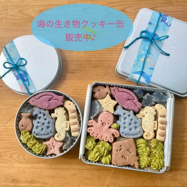 ・
海の生き物クッキー缶、できました♪
・
毎年この時期は夏らしいクッキー缶をお出しするのですが、
今年は海の生き物たちをメインにしたクッキー缶にしてみやした♪
・
ペンギンにジンベイザメ、タツノオトシゴ、ニシキアナゴなどなど、可愛らしい海の生き物たちをのがりで人気のクッキーたちと一緒にぎゅぎゅっと詰め込みました♪
・
海をイメージしたきらきら琥珀糖入り♪
・
無農薬の野菜パウダーなど天然の色素で着色しているので、安心♪
・
もちろん全て小麦、卵、乳製品不使用。
・
アレルギーがあってもなくても、みんなで美味しく召し上がっていただけたら嬉しいです♪
・
Sサイズはちょっとしたプレゼントにもぴったりだし、Mサイズはのがりのクッキーがほぼ全種類入っているので、お中元や帰省のお土産などにもぴったりじゃないかなぁと思います♪
・
Sサイズ　1800円
Mサイズ　3200円
・
のがりの通販サイト「おとりよせのがり」にて販売中♪
https://shop.nogari.cafe
今回のクッキー缶は2〜3個までなら宅急便コンパクトで送料がちょっとお安く送れちゃいます♪
・
ご予約いただければ、のがり店頭、ポコアボッコいいものshop(@pocoabocco_shop )さんでもお受け取り可能です。
・
ご予約はのがりのインスタ、Facebookのメッセージ、もしくはtomo@nogari.cafeまでDMして下さい。
・
暑いと冷たいものばかり食べたくなりがちですが、海を感じながらゆっくりお茶を楽しんでいただけましたら嬉しいです♪
・
#のがり　#佐賀　#脊振
#米粉　#米粉おやつ　#小麦卵乳製品不使用
#アレルギー対応　#グルテンフリー　#オーガニック
#佐賀カフェ　#神埼カフェ　#山カフェ
#クッキー缶　#米粉クッキー缶　#海の生き物クッキー
#おとりよせのがり