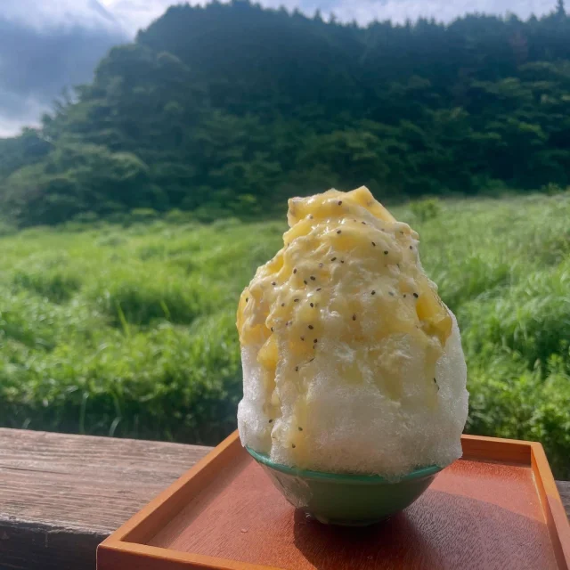 ・
本日のがり日和☆
・
恵の雨が降ってくれて少し涼しくなったりしましたが、今日も一日暑くなりそうですね💦
・
今週は12日(土)が子供の園行事のため12時半頃からのオープンとなりますのでお気をつけ下さい。
・
金曜と日曜は通常通りオープン。
・
自家製無添加シロップの天然かき氷、先週でせふりベリーヨーグルトは終了しましたが、今週は生ゴールドキウイが登場です♪
・
ヨーグルトベースのかき氷にゴールドキウイを2玉使った自家製シロップ&果肉がかかったビタミンたっぷりのかき氷です♪
・
🍧今週のかき氷🍧
＊無農薬いちご
＊いちごみるく
＊はちみつレモン
＊宇治抹茶みるく
＊生ゴールドキウイ
＊パイナップルココミルク
・
もちろんケーキ類もご用意してます♪
・
今週は塩キャラメルバナナタルトを作ってみました♪
・
カリウムとマグネシウムが豊富なバナナにマルドンの塩でナトリウムをプラス♪
・
汗をかくこの季節にぴったりなタルトです♪
・
その他、かぼちゃのプリンケーキ、生チョコタルト、パイン&キウイのショートケーキ(土日のみ)もあります♪
・
暑くて出かけるのも億劫になりますが、自然の風を感じにのがりまで涼みにいらして下さいね╰(*´︶`*)╯♡
・
#のがり　#佐賀　#脊振
#米粉　#米粉おやつ　#小麦卵乳製品不使用
#アレルギー対応　#グルテンフリー　#オーガニック
#佐賀カフェ　#神埼カフェ　#山カフェ
#佐賀かき氷　#無添加シロップのかき氷